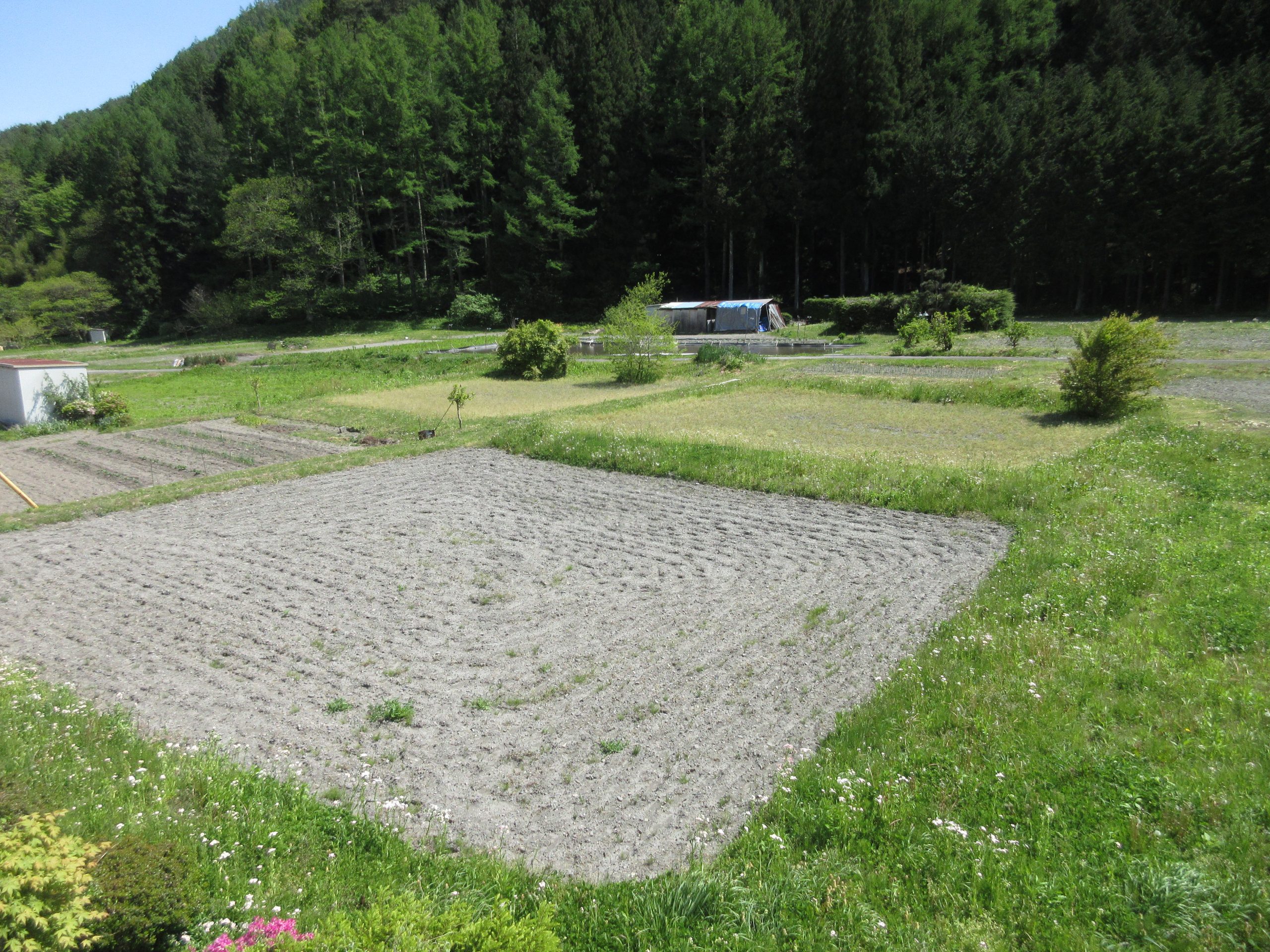 隣接する農地