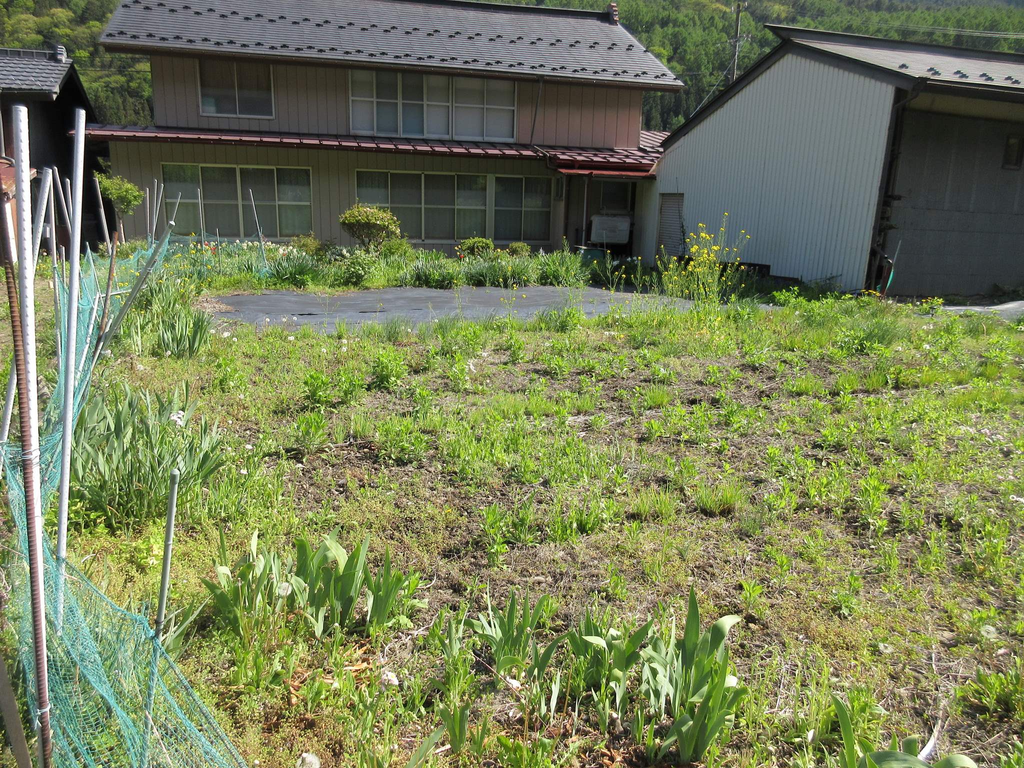 建物裏側：畑362㎡