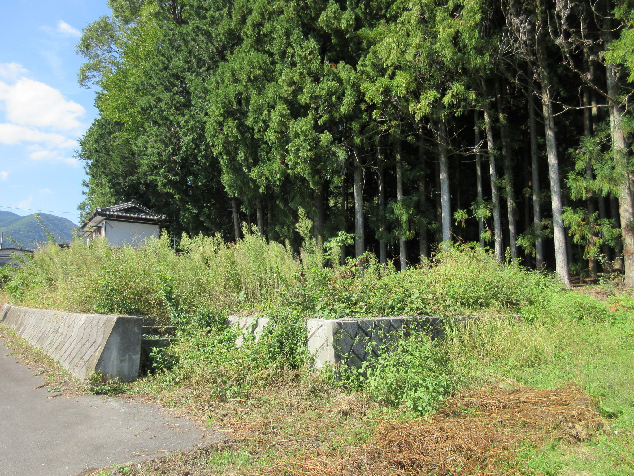 南東からの全景