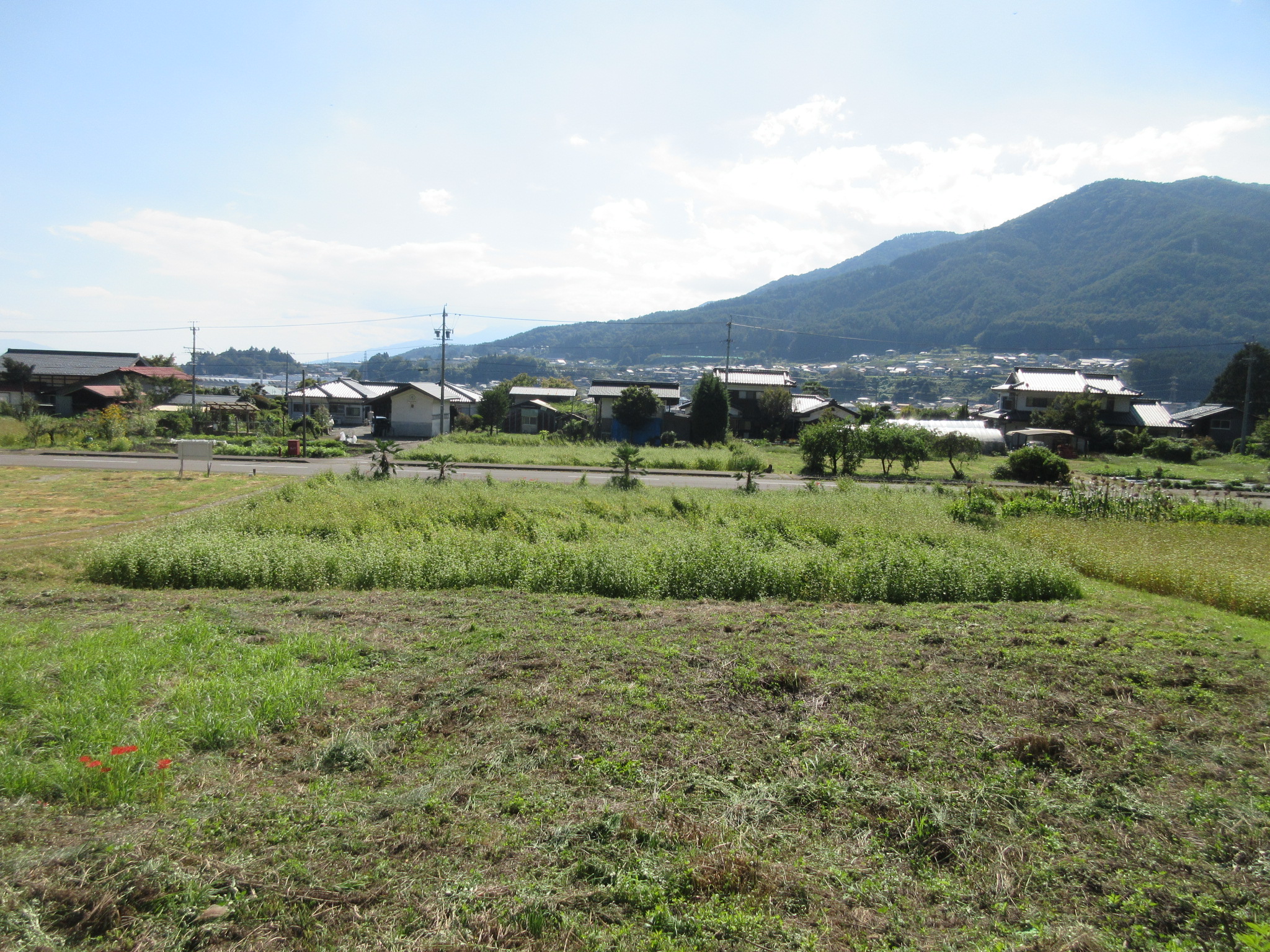 物件からの全景