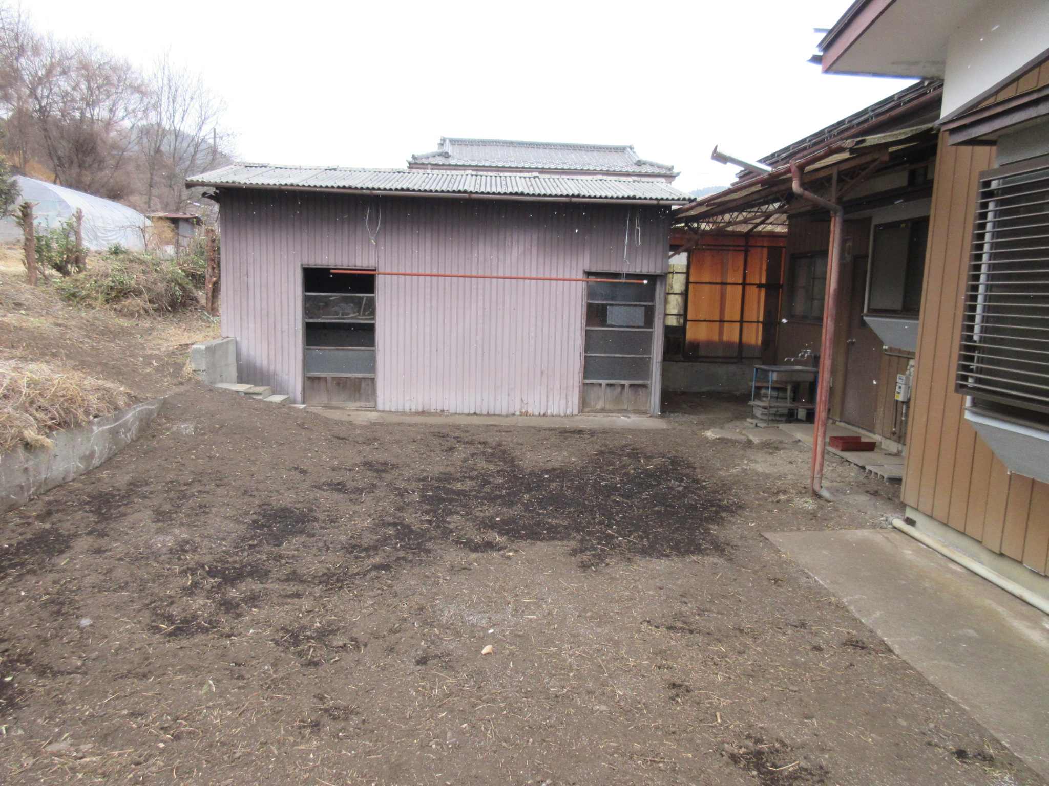 裏庭（家庭菜園可能）